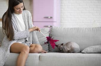 How to Tell If Your Cat Is Upset with You? Key Signs and Solutions