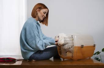 Dog Boarding: What Is It and How Much Does It Cost?