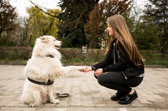 How to Get a Scared Dog to Trust You: Step-by-Step Guide