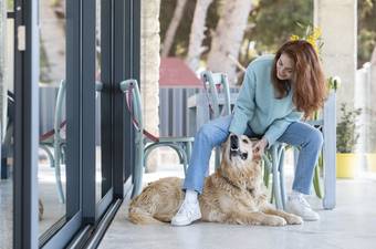 Dog Boarding VS Dog Sitting: Which to Choose?