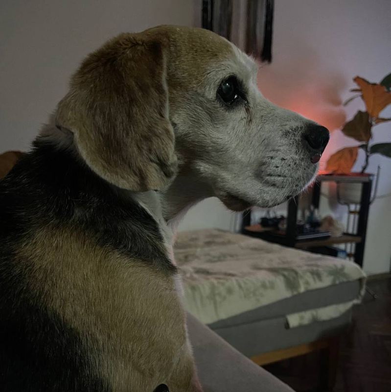 Bonnie