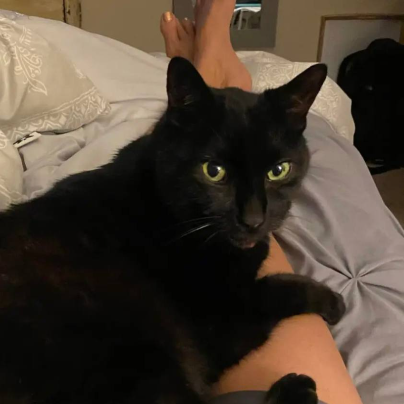 Coco