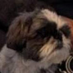 Cleo