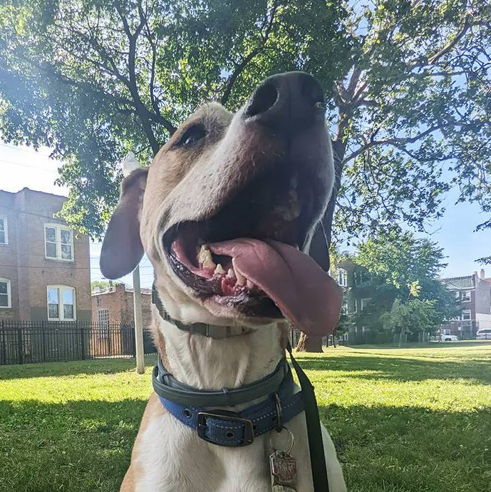 Baxter
