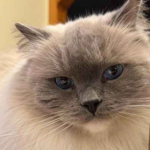 Percy