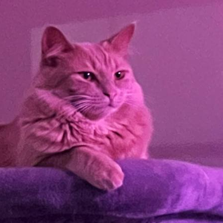 Nimbus