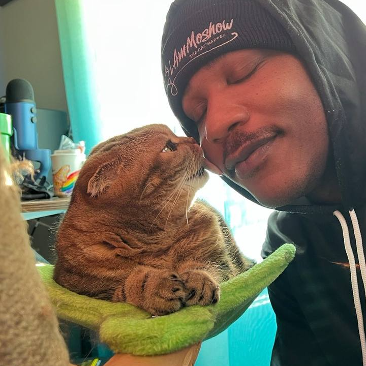 Biscuit