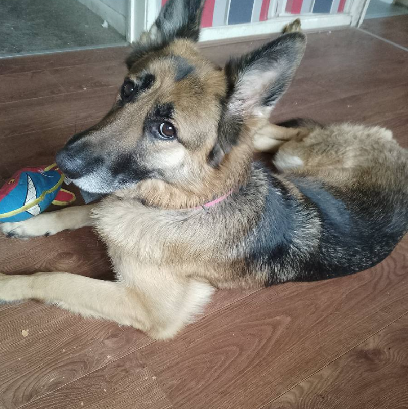 Max